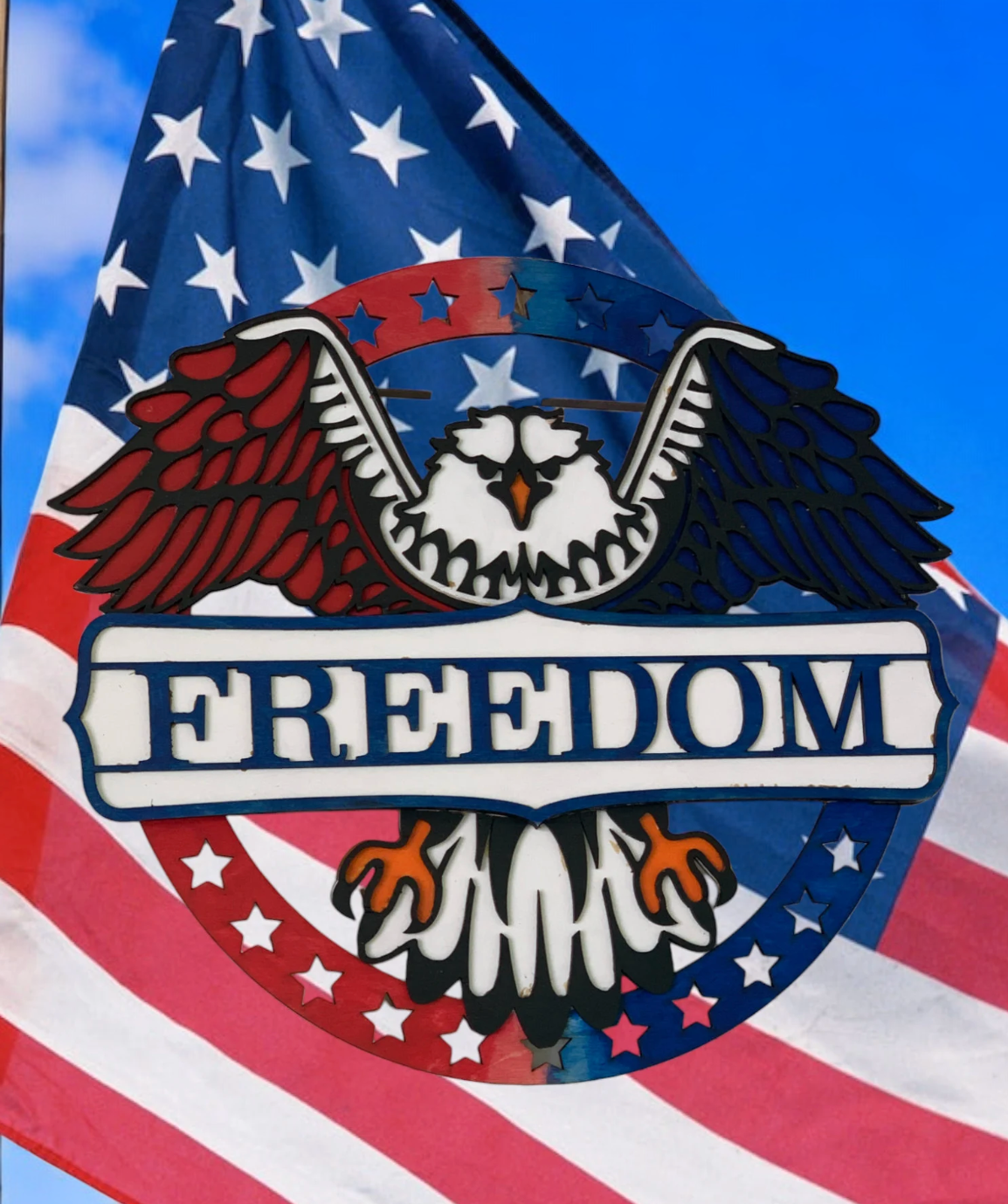 Freedom Eagle 3d Door Decor